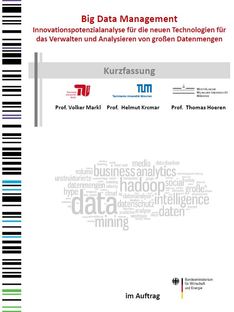 Cover der Publikation Big Data Management Report