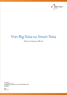 Cover der Publikation "Von Big Data zu Smart Data"
